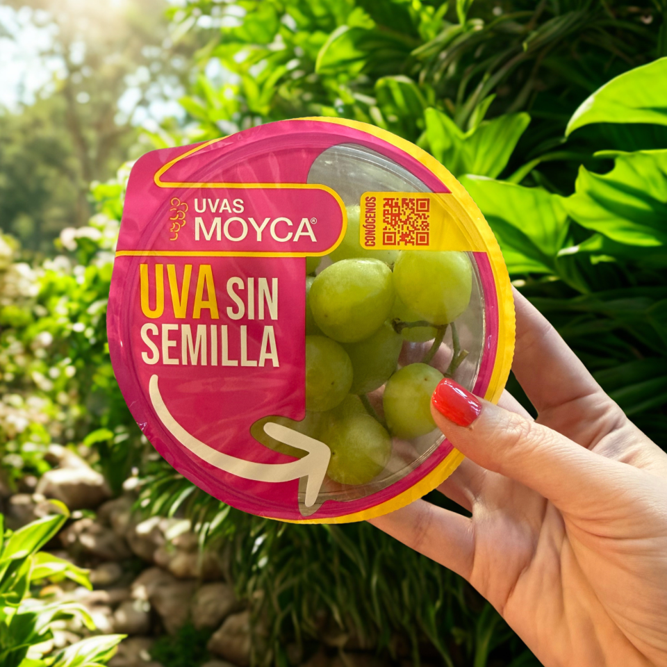 Caja uva blanca - Tarrinas 150 gr